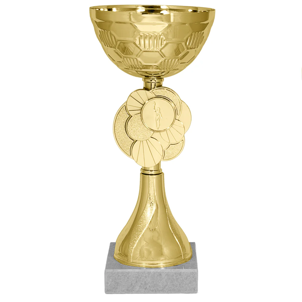 Реальное фото Кубок KB 8091 C (H- 20см, D- 80мм) от магазина Спортев