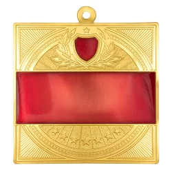 Медаль MZP 301-65/GRD (65х65мм, s-2,5мм) латунь