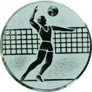 Реальное фото Вставка для медалей D1 A6 25 мм волейбол от магазина Спортев