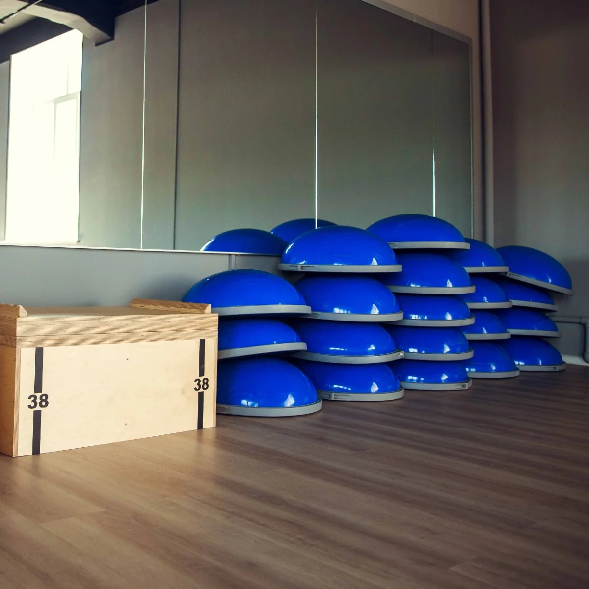 Реальное фото Полусфера для фитнеса PROFI-FIT от магазина Спортев