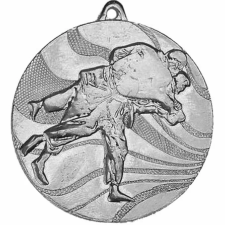 Реальное фото Медаль MMC 2650/S дзюдо (D-50 мм, s-2,5 мм) от магазина СпортЕВ