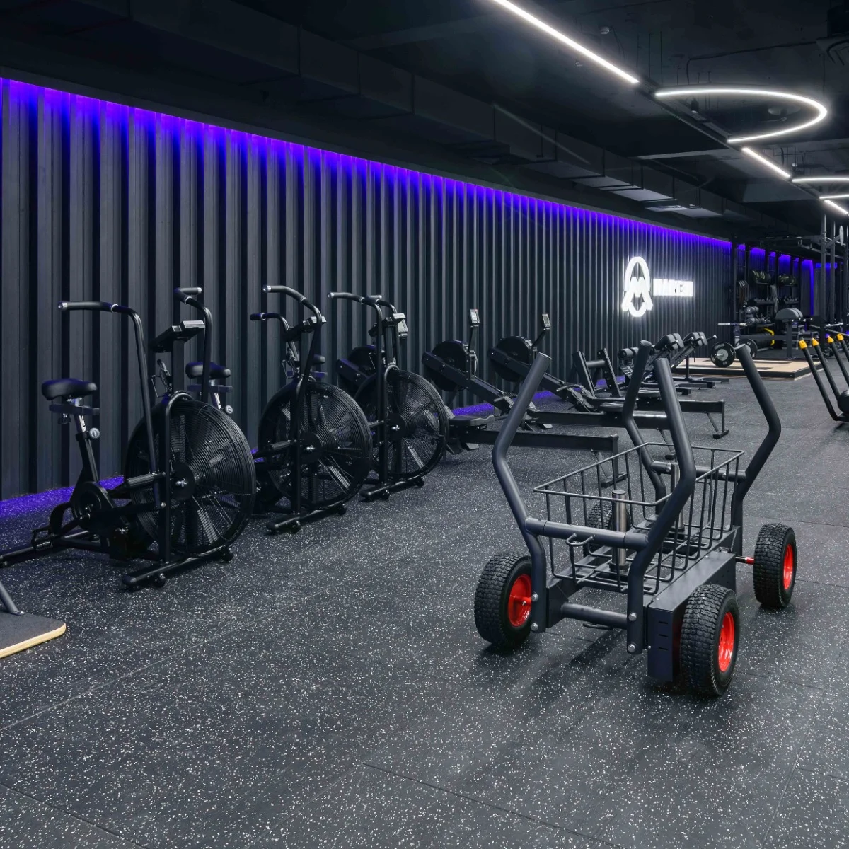 Реальное фото Сани-тележка для функционального тренинга ТАНГЕН от магазина Спортев