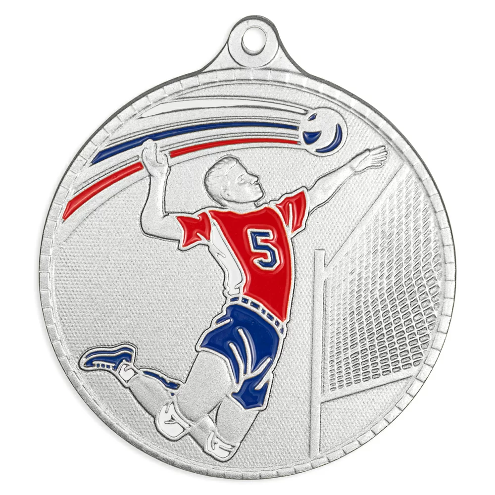 Реальное фото Медаль MZP 594-55/S волейбол (D-55мм, s-2 мм) от магазина СпортЕВ