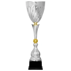 Кубок KB 5098 A (H- 58  см, D-180 мм)