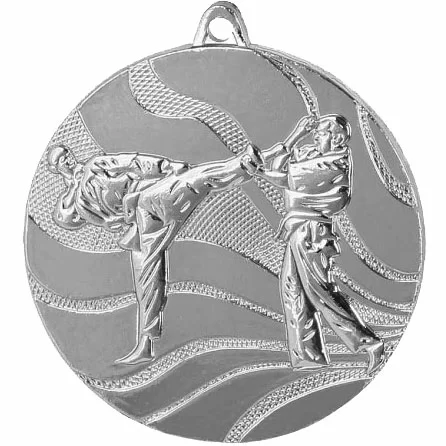 Реальное фото Медаль MMC 2550/S карате (D-50 мм, s-2,5 мм) от магазина Спортев