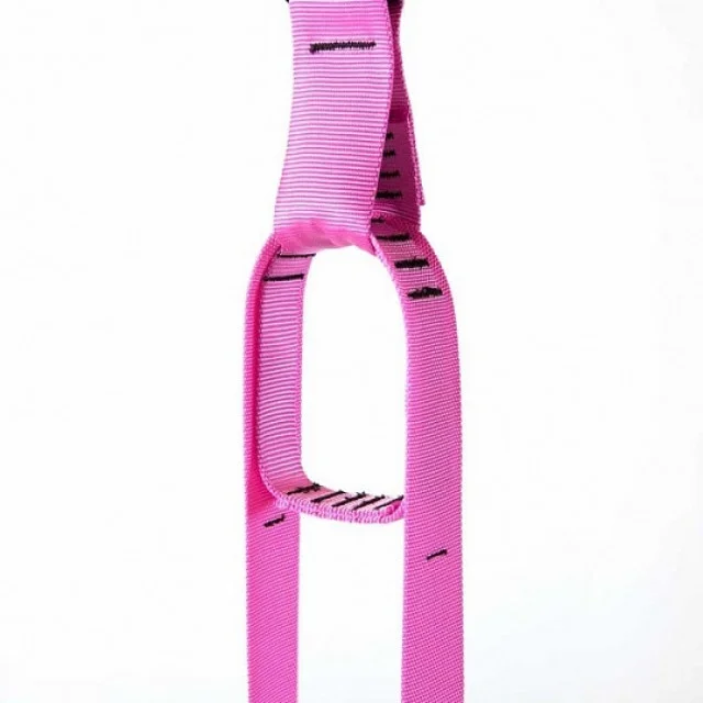 Реальное фото Тренажер TRX Home Pink от магазина Спортев