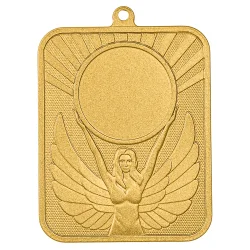 Медаль MZP 519-70/GM (48х60мм, s-2,5 мм)