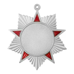 Медаль MZP 551-50/SM (48х48мм, D-25мм, s-2мм)