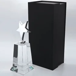 Приз GL 24022 (стекло, H- 22 cм)