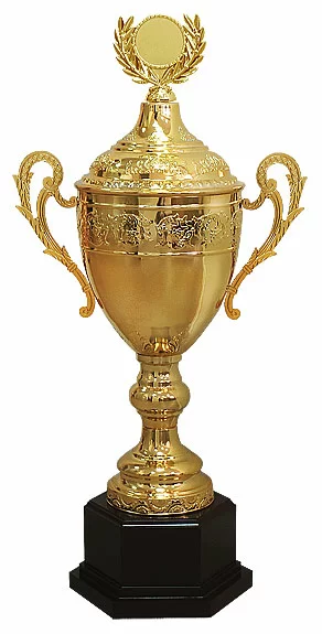 Реальное фото Кубок HBYQ C (H-65,5 см, D-180 мм) от магазина СпортЕВ