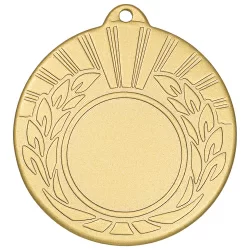 Медаль MZ 18-50/GM (D-50мм, D-25мм, s-2мм)