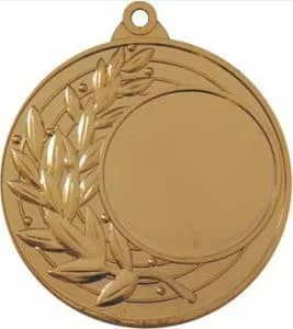 Реальное фото Медаль MD168 d-45 мм от магазина СпортЕВ