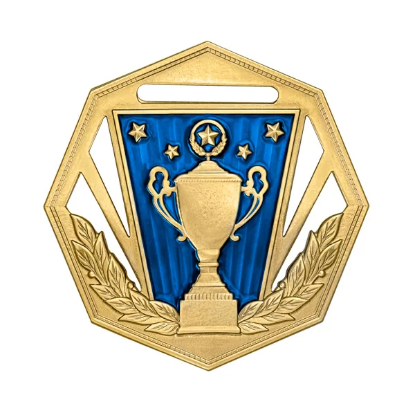 Реальное фото Медаль MZP 368-60/GBU (D-60 мм, s-2 мм) латунь от магазина СпортЕВ
