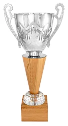 Кубок KB 1105 B (H-48,5 см, D-160 мм)