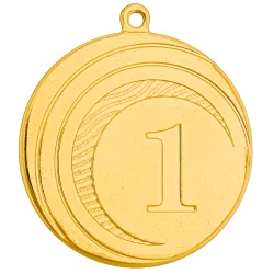 Медаль MZ 107-45/G 1место (D-45мм, D-25мм, s-1,5 мм)