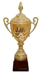 Кубок HB 5 B (H-61 см, D-200 мм)