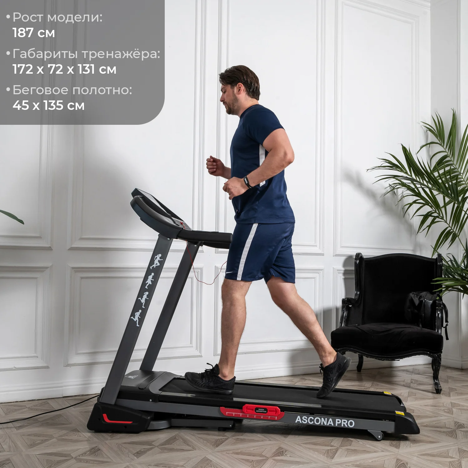 Реальное фото Беговая дорожка DFC ASCONA Pro T640 от магазина Спортев