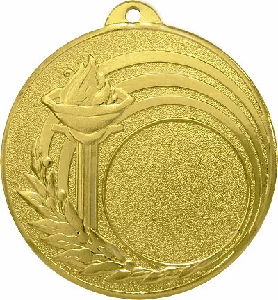 Реальное фото Медаль MZ 01-50/G (D-50 мм, D-25 мм, s-2 мм) от магазина СпортЕВ