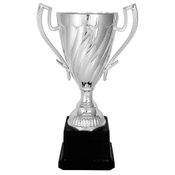 Кубок KB 9075 A/S (H- 25,5 см, D -100 мм)