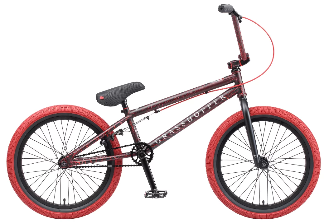 Реальное фото Велосипед BMX TechTeam Grasshoper 20" (2023) черно-красный 660010 от магазина СпортЕВ
