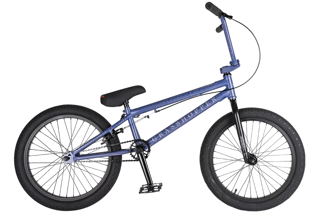 Реальное фото Велосипед BMX TechTeam Grasshoper 20" (2021) синий от магазина СпортЕВ