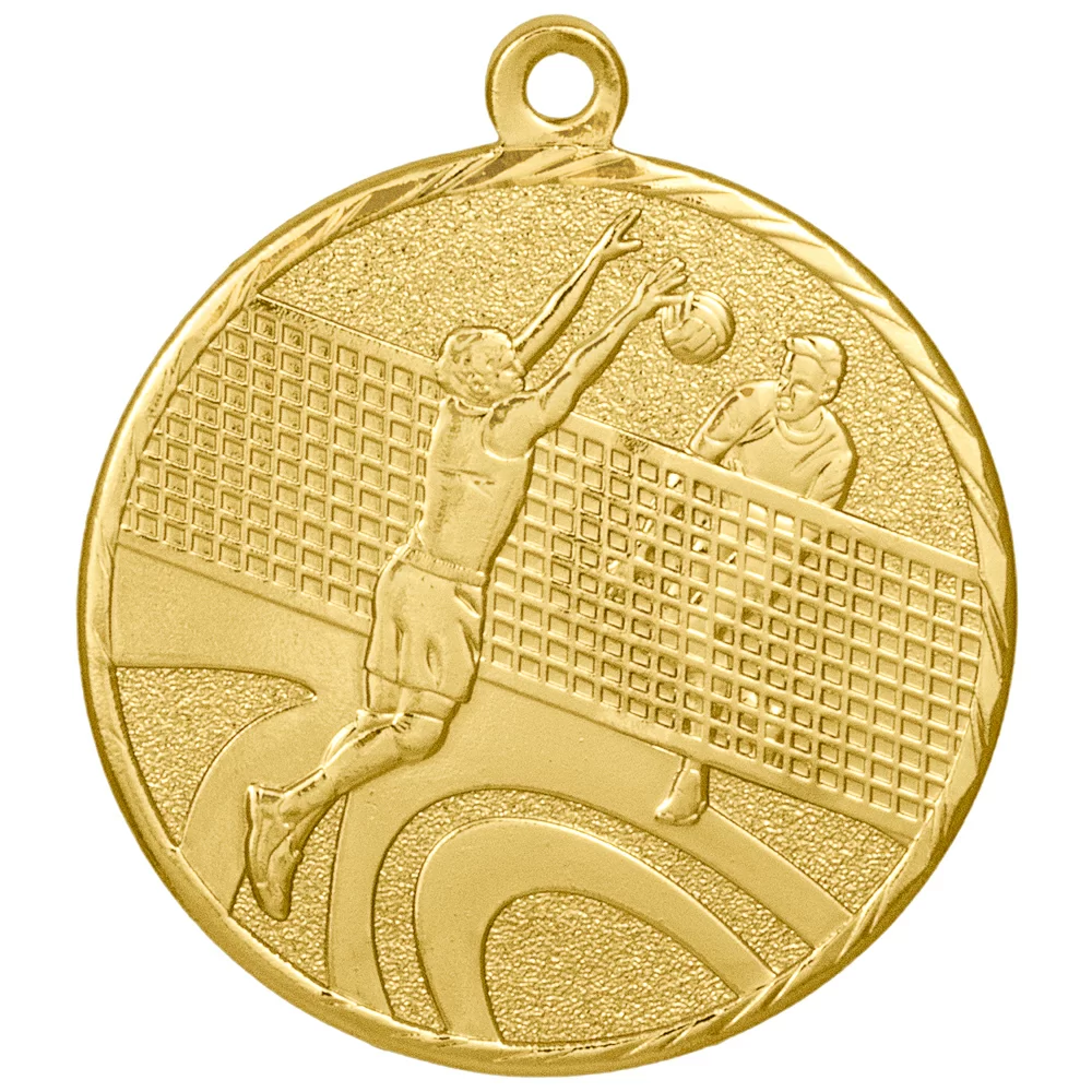Реальное фото Медаль MZ 101-40/G волейбол (D-40мм, s-1,5мм) от магазина Спортев