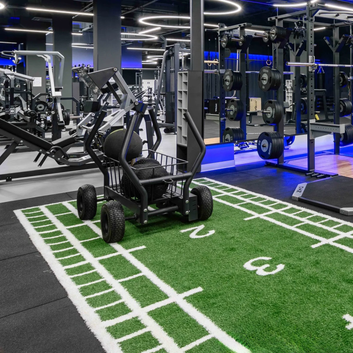 Реальное фото Сани-тележка для функционального тренинга (Тренажер Tank) TANGEN от магазина Спортев