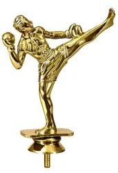 Фигура F155/G кикбоксинг (H-12 см)