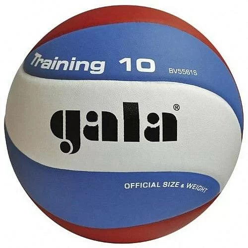 Реальное фото Мяч волейбольный Gala Training 10 р.5  синт. кожа ПУ клееный бел-гол-красн BV5561S от магазина СпортЕВ