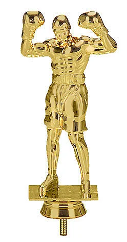 Реальное фото Фигура B203/G бокс (H-16 см) от магазина Спортев