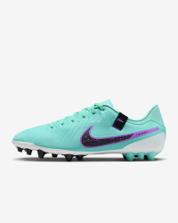 Бутсы Nike Legend 10 Academy AG DV4340-300