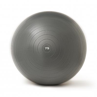 Реальное фото Фитбол 75 см Torres ПВХ антивзрыв с насосом серый FB122575 от магазина Спортев