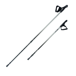 Палки для скандинавской ходьбы RGX NWS-101 silver