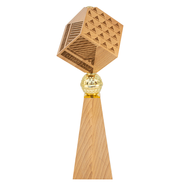 Реальное фото Приз DR 06201 (дерево, пластик, H-380мм) от магазина Спортев