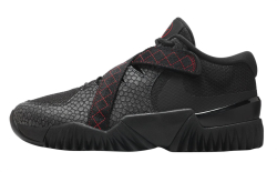 Кроссовки Nike Zoom Court Dragon черный DV8166 001